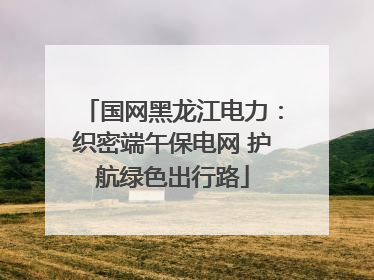 国网黑龙江电力：织密端午保电网 护航绿色出行路