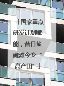 国家重点研发计划赋能，昔日盐碱滩今变“高产田”