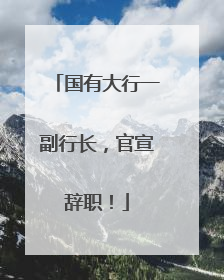 国有大行一副行长，官宣辞职！