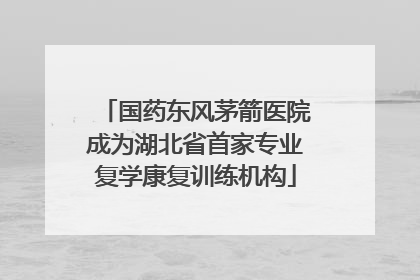 国药东风茅箭医院成为湖北省首家专业复学康复训练机构