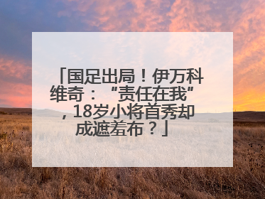 国足出局！伊万科维奇：“责任在我”，18岁小将首秀却成遮羞布？