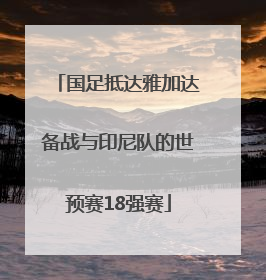 国足抵达雅加达备战与印尼队的世预赛18强赛