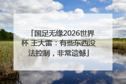 国足无缘2026世界杯 王大雷：有些东西没法控制，非常遗憾