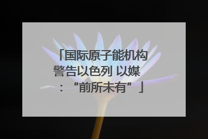 国际原子能机构警告以色列 以媒：“前所未有”