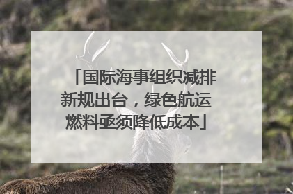 国际海事组织减排新规出台，绿色航运燃料亟须降低成本