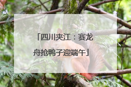 四川夹江：赛龙舟抢鸭子迎端午