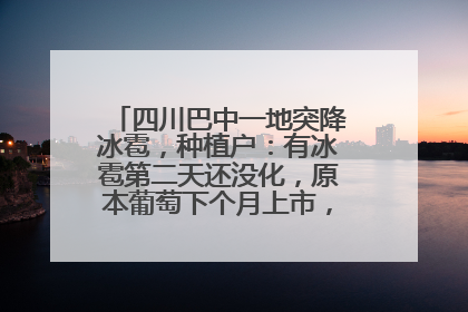四川巴中一地突降冰雹，种植户：有冰雹第二天还没化，原本葡萄下个月上市，现在全被打落