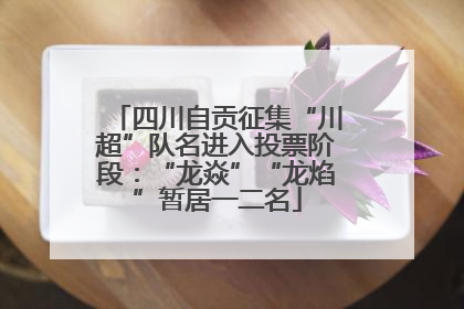 四川自贡征集“川超”队名进入投票阶段：“龙焱”“龙焰”暂居一二名