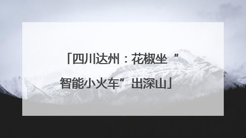 四川达州：花椒坐“智能小火车”出深山