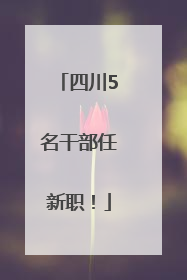 四川5名干部任新职！