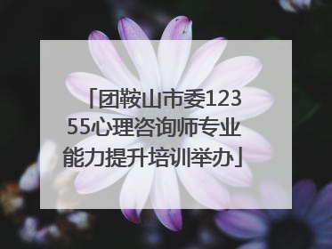 团鞍山市委12355心理咨询师专业能力提升培训举办