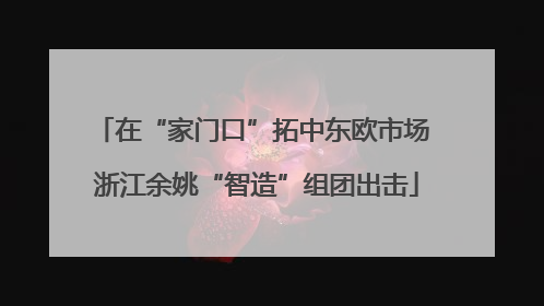 在“家门口”拓中东欧市场 浙江余姚“智造”组团出击