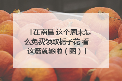在南昌 这个周末怎么免费领取栀子花 看这篇就够啦（图）