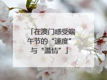 在澳门感受端午节的“速度”与“温情”