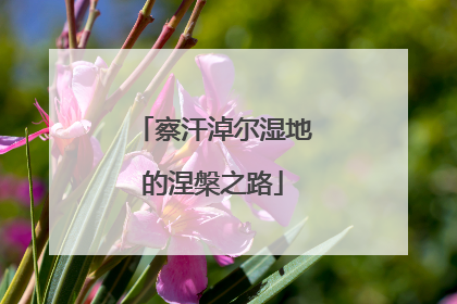 察汗淖尔湿地的涅槃之路