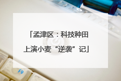 孟津区：科技种田 上演小麦“逆袭”记