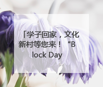 学子回家，文化新村等您来！“Block Day”催化学院式街区新生态