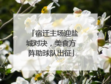 宿迁主场迎盐城对决，美食方阵助球队出征