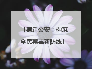 宿迁公安：构筑全民禁毒新防线
