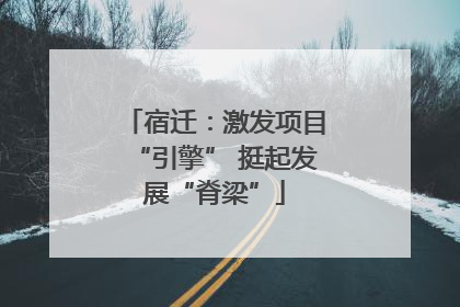 宿迁：激发项目“引擎” 挺起发展“脊梁”