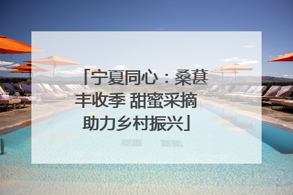 宁夏同心：桑葚丰收季 甜蜜采摘助力乡村振兴