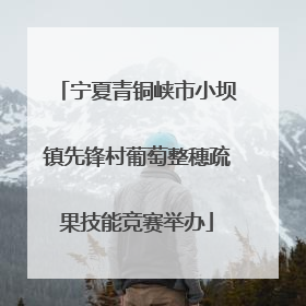 宁夏青铜峡市小坝镇先锋村葡萄整穗疏果技能竞赛举办