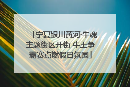 宁夏银川黄河·牛魂主题街区开街 牛王争霸赛点燃假日氛围