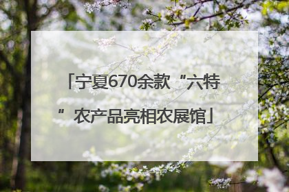 宁夏670余款“六特”农产品亮相农展馆