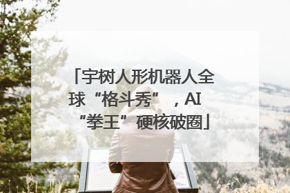 宇树人形机器人全球“格斗秀”，AI“拳王”硬核破圈