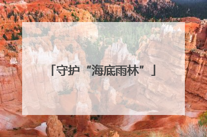 守护“海底雨林”