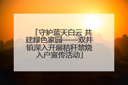 守护蓝天白云 共建绿色家园——双井镇深入开展秸秆禁烧入户宣传活动