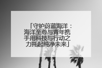 守护蔚蓝海洋：海洋至尊与青年携手用科技与行动之力托起纯净未来