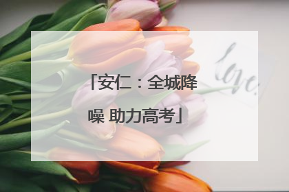 安仁：全城降噪 助力高考