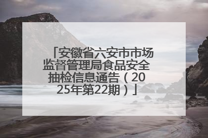 安徽省六安市市场监督管理局食品安全抽检信息通告（2025年第22期）