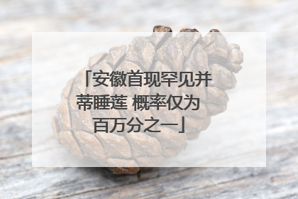 安徽首现罕见并蒂睡莲 概率仅为百万分之一