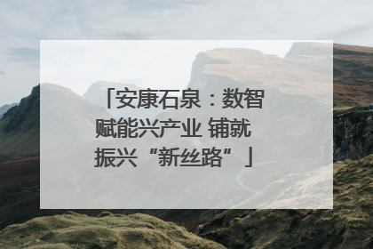 安康石泉：数智赋能兴产业 铺就振兴“新丝路”