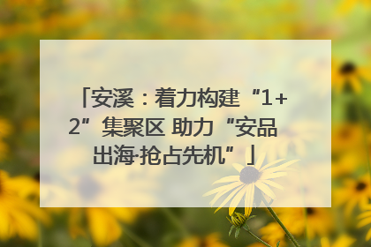 安溪：着力构建“1+2”集聚区 助力“安品出海·抢占先机”