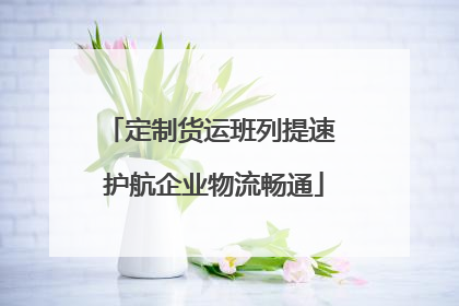 定制货运班列提速 护航企业物流畅通
