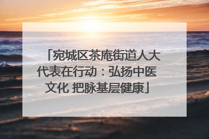 宛城区茶庵街道人大代表在行动：弘扬中医文化 把脉基层健康