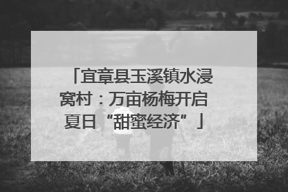宜章县玉溪镇水浸窝村：万亩杨梅开启夏日“甜蜜经济”