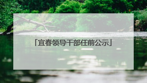 宜春领导干部任前公示