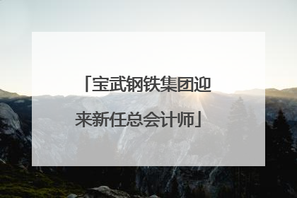 宝武钢铁集团迎来新任总会计师