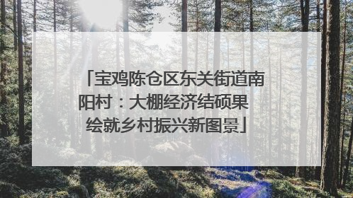 宝鸡陈仓区东关街道南阳村：大棚经济结硕果 绘就乡村振兴新图景