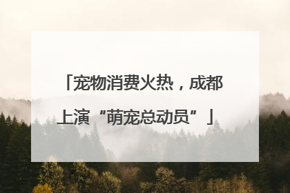 宠物消费火热，成都上演“萌宠总动员”