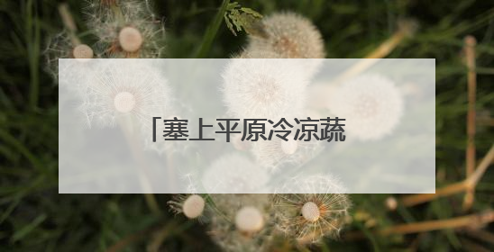 塞上平原冷凉蔬菜进入采收旺季