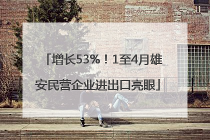 增长53%！1至4月雄安民营企业进出口亮眼