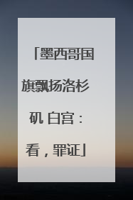 墨西哥国旗飘扬洛杉矶 白宫：看，罪证