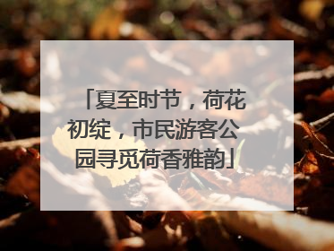 夏至时节，荷花初绽，市民游客公园寻觅荷香雅韵