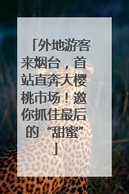 外地游客来烟台，首站直奔大樱桃市场！邀你抓住最后的“甜蜜”