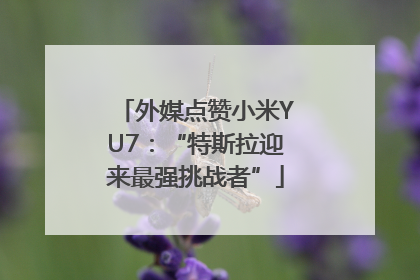 外媒点赞小米YU7：“特斯拉迎来最强挑战者”